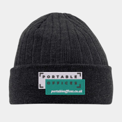 Thinsulate Beanie Thumbnail